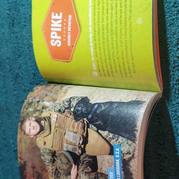 Paws of Courage - Picture 3 of 4